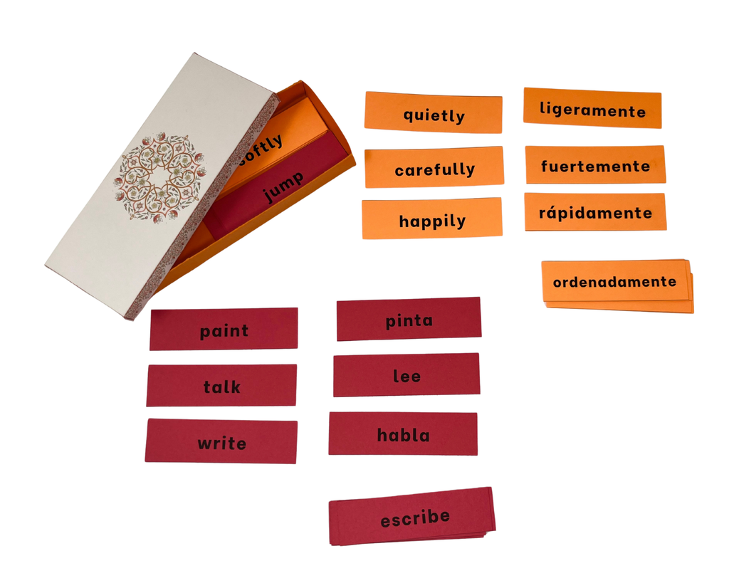 Adverb & Logical Adverb Boxes  (Digital PDF)