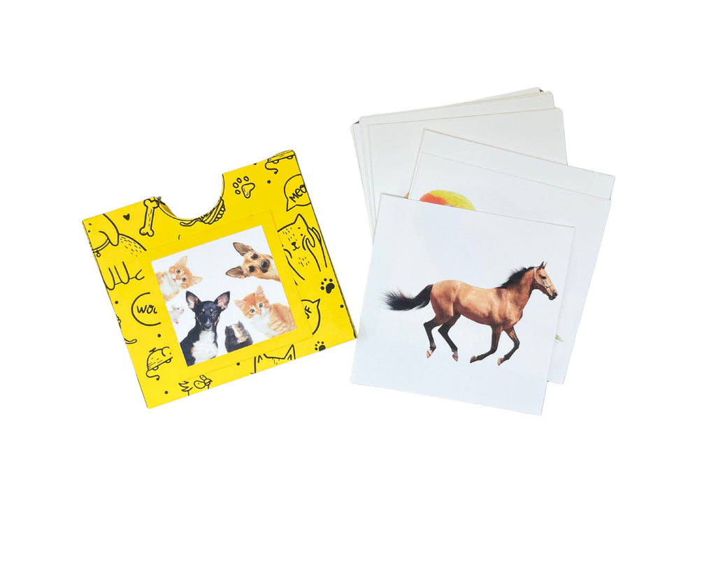 Pets Vocabulary Cards (Digital PDF)